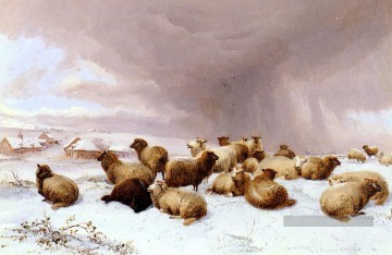 hiver Tableau - Moutons en hiver Les animaux de ferme Thomas Sidney Cooper